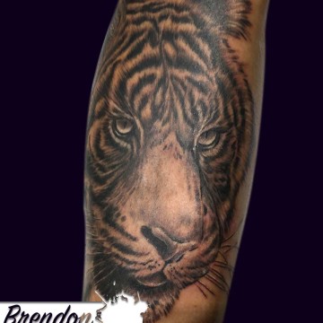 Wicked Ink – Tattoo Artist – Brendon – Tiger